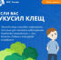 Нажмите для предварительного просмотра изображения - Красногорский район УР