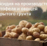 Господдержка личных подсобных хозяйств в наращивании производства картофеля и овощей - Красногорский район УР